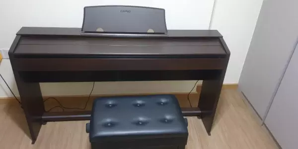 PX780قیمت پیانو